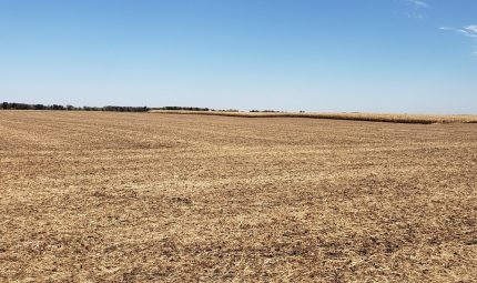 Land Auction – 141.19 Surveyed Acres – 2 Tracts – Productive Cropland – Warren County, IL