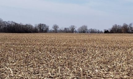 Real Estate Auction – 341.58 Surveyed Acres – 3 Tracts – Henderson County, IL