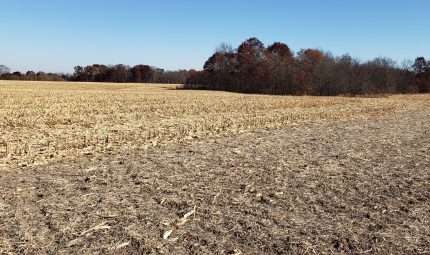 Land Auction – 246.58 Surveyed Acres – 3 Tracts – Productive Farmland – Country Home – Timber – Grassland – Fulton County, IL