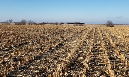 Land Auction – 315.78 Surveyed Acres – 3 Tracts in Warren County, IL