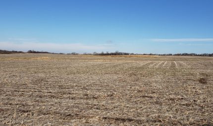 Real Estate Auction – 189.18 Surveyed Acres – 3 Tracts in Henderson County, Illinois