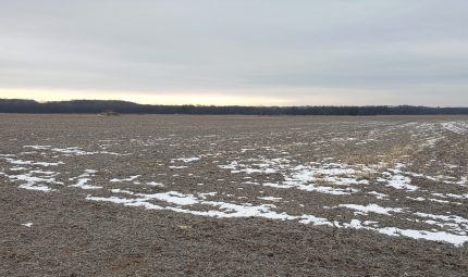 Land Auction – 239.70 Surveyed Acres – 2 Tracts in Knox County, IL