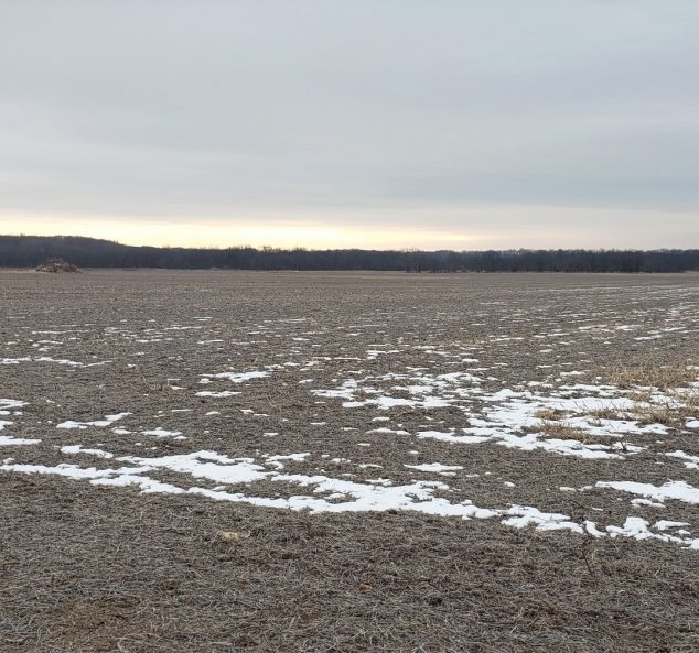 Land Auction – 239.70 Surveyed Acres – 2 Tracts in Knox County, IL
