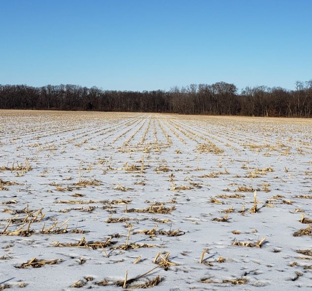 Land Auction – 173.55 Surveyed Acres – 3 Tracts in Knox County, IL