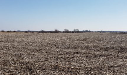 Land Auction – 154.68 Surveyed Acres in 3 Tracts, Warren County, IL