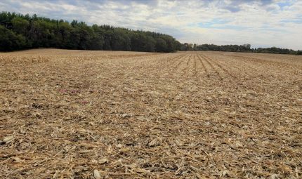 Land Auction – 77.75 Acres – 2 Tracts in Mercer County, IL
