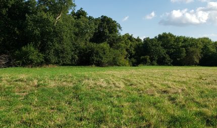 Live & Online Land Auction – 300 Acres – 5 Tracts in Knox County, IL