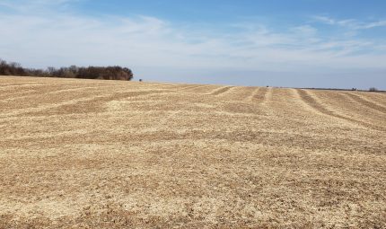 Live & Online Land Auction – 111 Acres in Mercer County, IL
