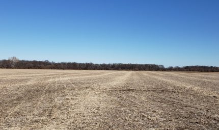 Live & Online Land Auction – 98.29 Surveyed Acres in Warren County, IL