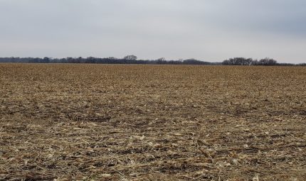 Live & Online Land Auction – 294.55 Surveyed Acres – 4 Tracts in Knox County, IL