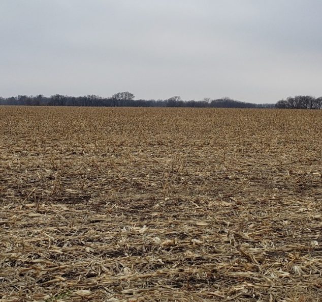 Live & Online Land Auction – 294.55 Surveyed Acres – 4 Tracts in Knox County, IL