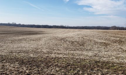 Live & Online Land Auction – 33 Acres in Mercer County, IL