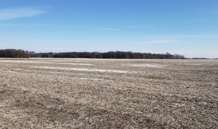 Live & Online Land Auction – 163 Acres – 2 Tracts in Knox County, IL