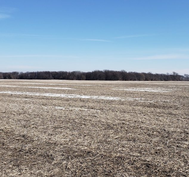 Live & Online Land Auction – 163 Acres – 2 Tracts in Knox County, IL