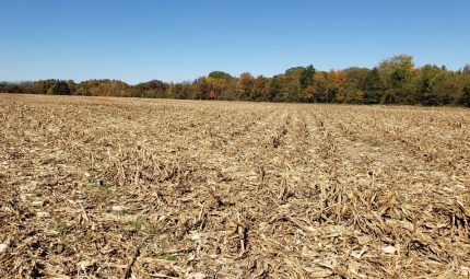 Live & Online Land Auction – 77 Acres – 2 Tracts in Knox County, IL