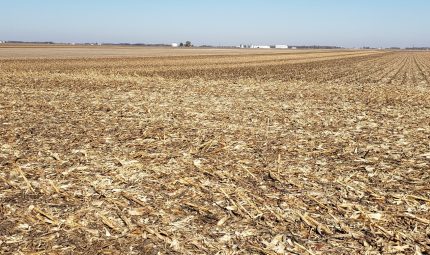 Live & Online Land Auction – 256 Acres – 3 Tracts in McDonough County, IL