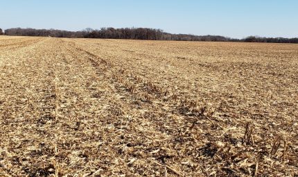 Live & Online Land Auction – 268 Acres – 4 Tracts in Warren County, IL