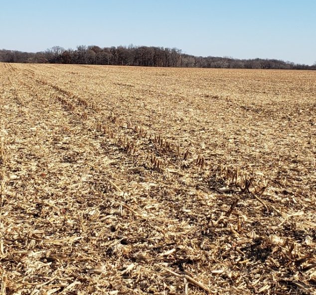 Live & Online Land Auction – 268 Acres – 4 Tracts in Warren County, IL