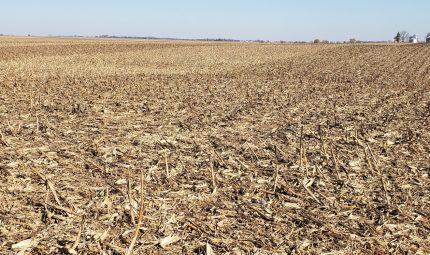 Live & Online Land Auction – 106 Acres – 2 Tracts in McDonough County, IL